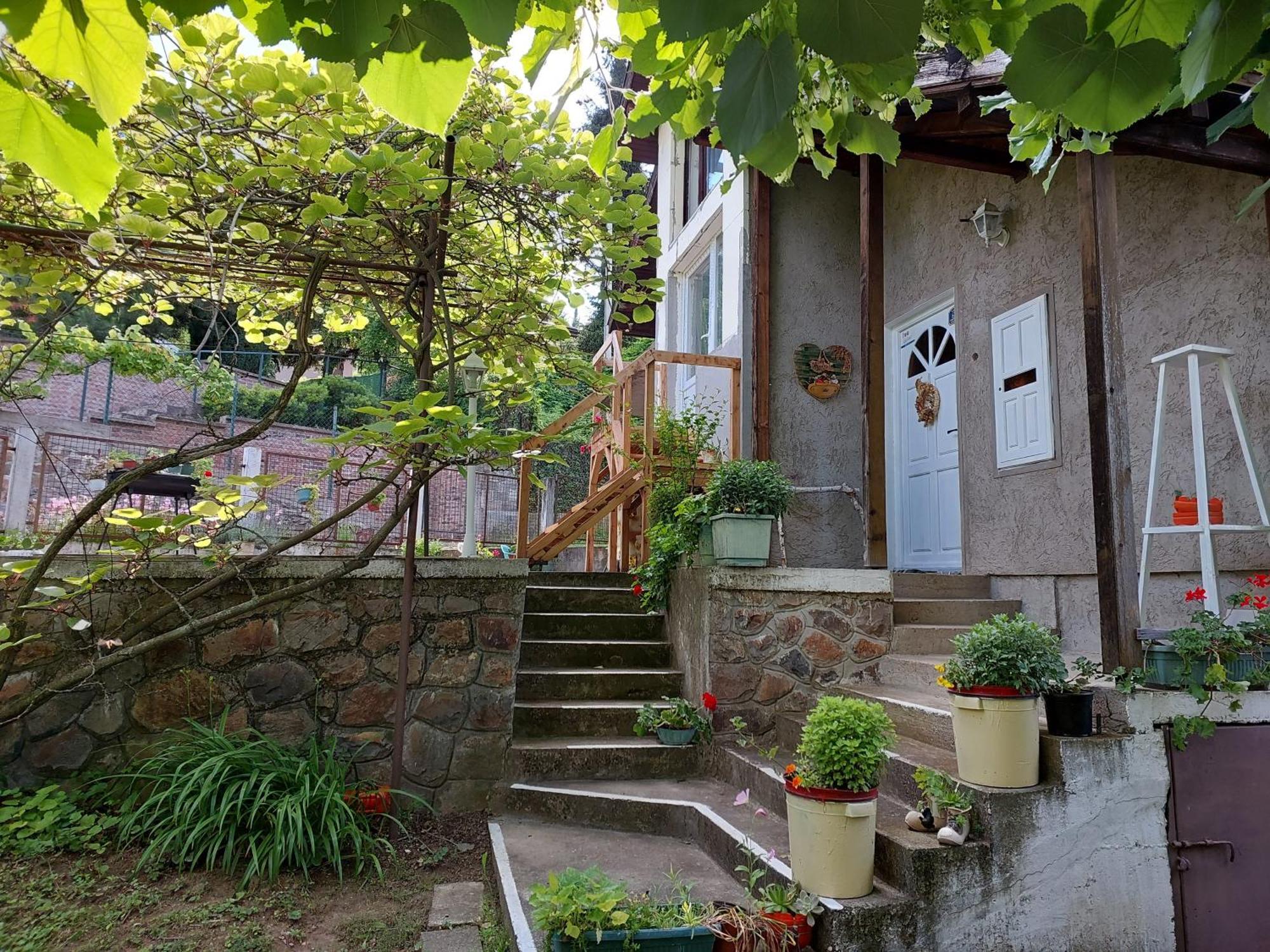 Apartman Nikola Rakovac Esterno foto