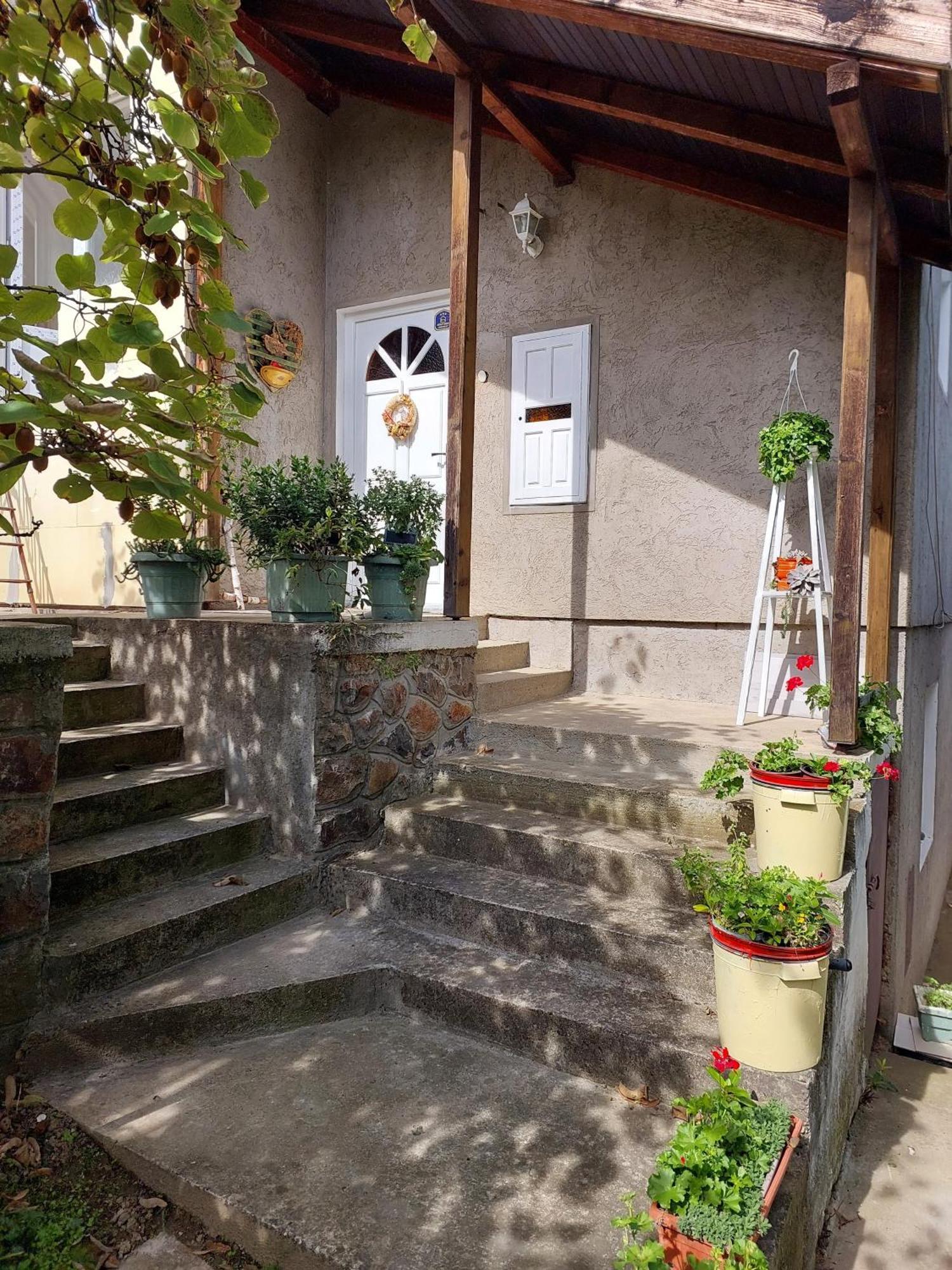 Apartman Nikola Rakovac Esterno foto